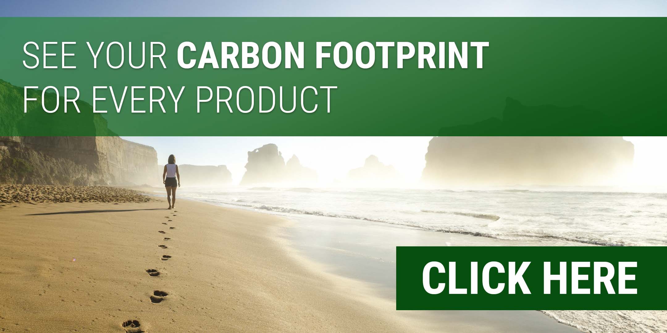 See your carbon footprint