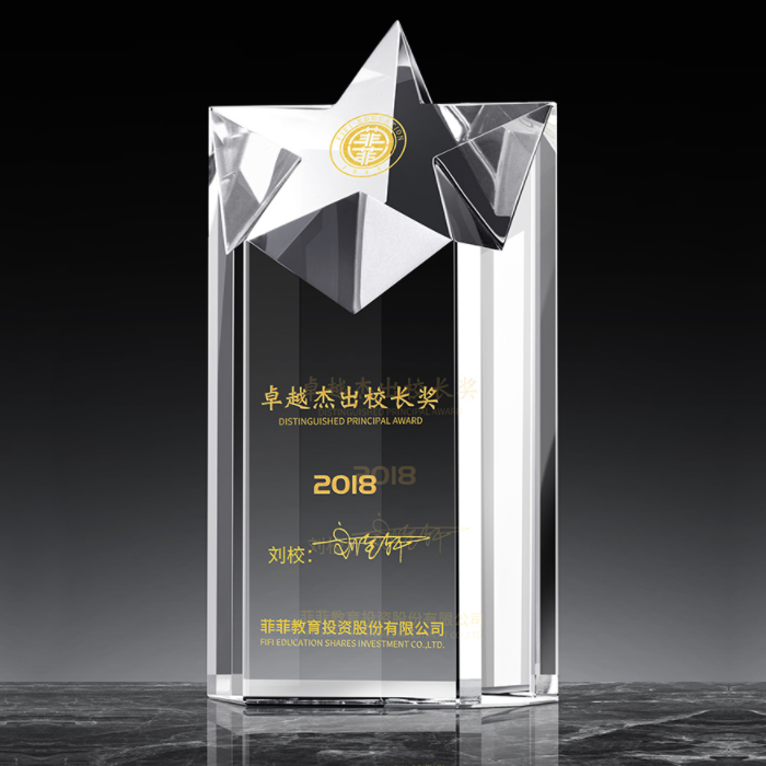 Winners Star Crystal Award